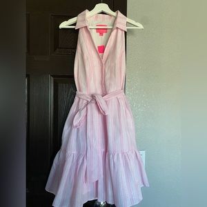 Lilly Pulitzer Pink Seersucker Button Up Dress